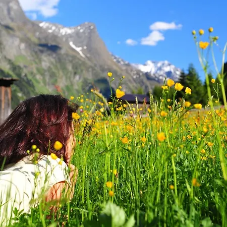 Appartementhaus Liesele Sonne *
